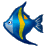 A fish